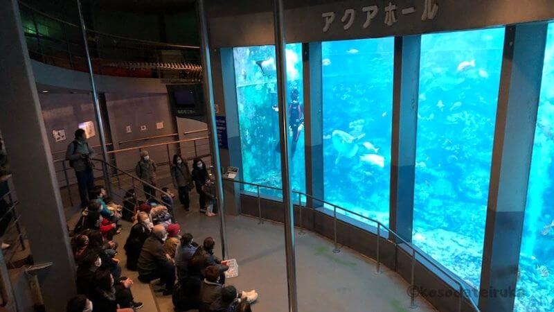 下田海中水族館の大水槽