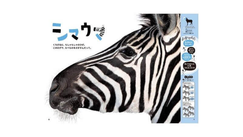 ほんとの大きさ動物園