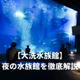 大洗水族館の夜の水族館