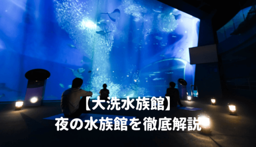 アクアワールド大洗水族館「夜の水族館2024」を徹底解説！ナイトショーはいつから？夜間営業の時間は？