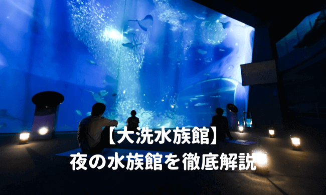 大洗水族館の夜の水族館