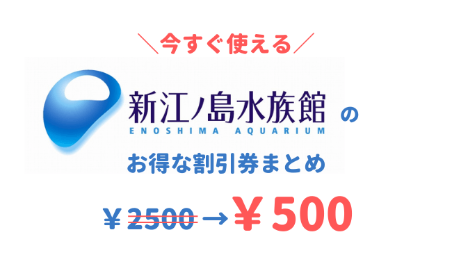 21最新 新江ノ島水族館は割引券がいっぱい 前売り券 クーポン 優待券を使って入場料金を安くする方法 子育てイルカが笛を吹く