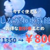 【2024年最新】しながわ水族館は割引券がいっぱい！クーポン・前売り券・優待券を使って入場料金を安くする方法