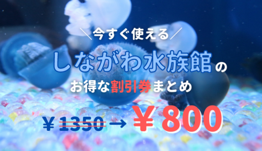 しながわ水族館のお得な前売り券！クーポンコードでチケット料金をコンビニより安くする方法