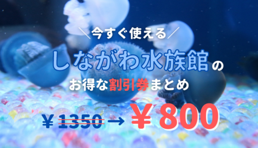 【コンビニより安い】しながわ水族館は割引券がいっぱい！クーポン・前売り券・優待券を使って入場料金を安くする方法