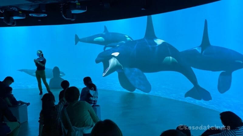 川崎水族館