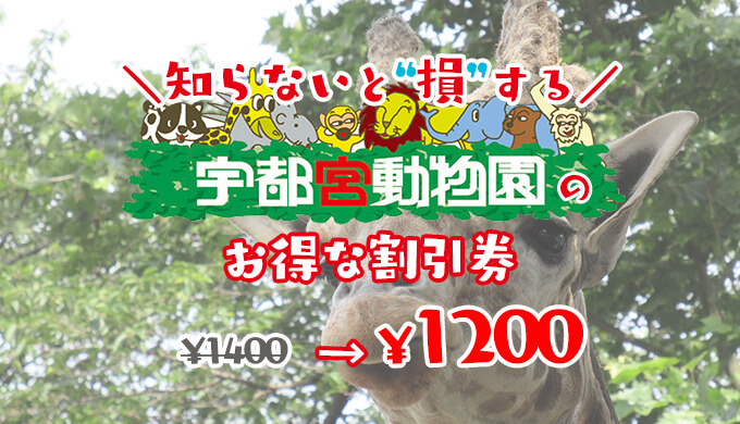 宇都宮動物園の割引券