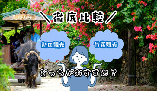竹富島で水牛車に乗りたい！新田観光と竹富観光はどっちがいい？料金やコースを比較する