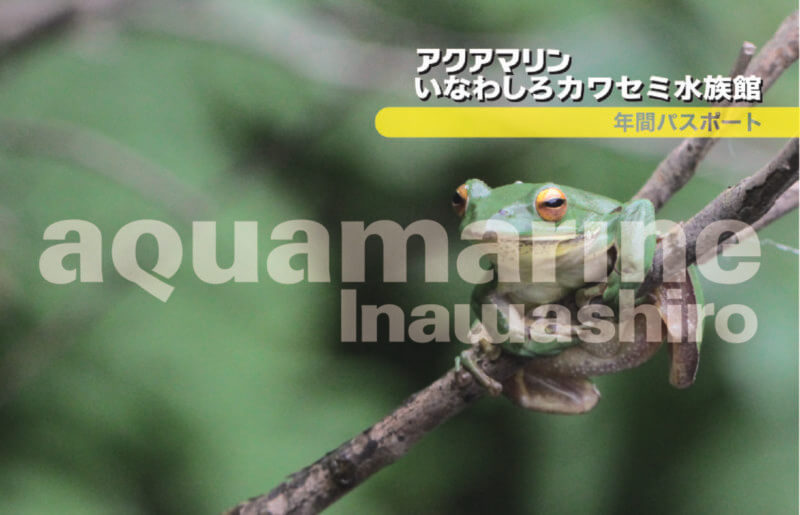 カワセミ水族館の年パス割引