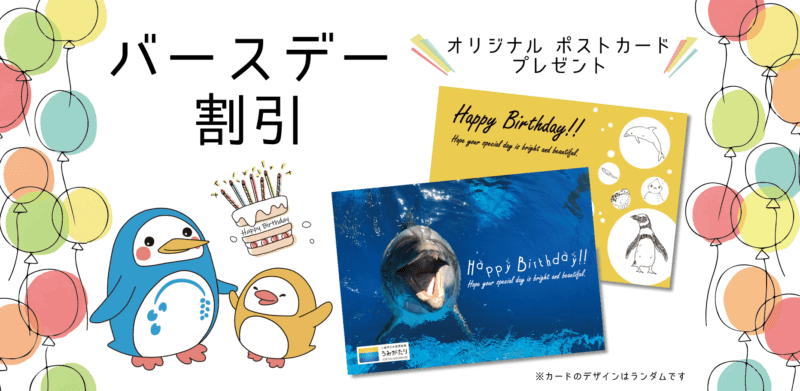 上越水族館の誕生日割引