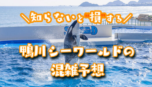 【2024年4月5月】鴨川シーワールドの混雑予想｜空いてる時間帯や今日の混み具合を知って混雑回避する方法