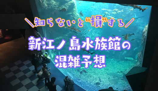 【2025年】新江ノ島水族館の混雑予想｜えのすいの空いてる時間帯や今日の混雑状況を知って回避する方法