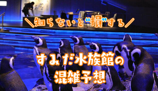 【2025年】すみだ水族館の混雑予想｜今の混み具合や空いている時間を知って混雑回避する方法