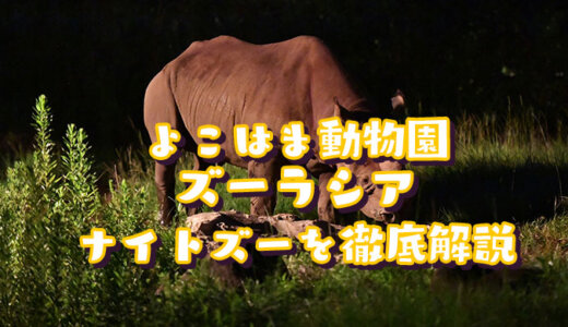 よこはま動物園ズーラシア「夜の動物園2023」を徹底解説！ナイトズーはいつから？夜間営業の時間は？料金や割引情報を紹介する！