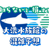 大洗水族館の混雑状況