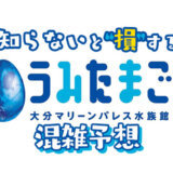 うみたまごの混雑予想