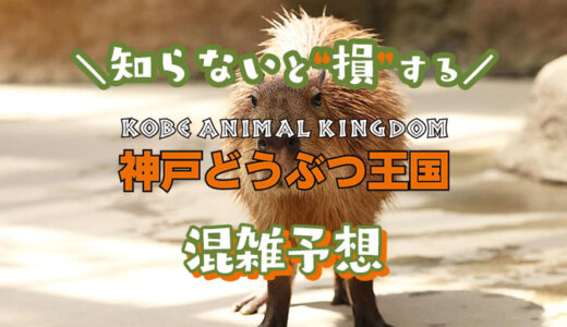 【2024年】神戸どうぶつ王国の混雑予想｜空いてる時間帯や今日の混み具合を知って混雑回避する方法