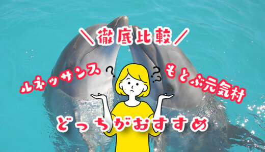 イルカと泳ぐならルネサンスリゾートともとぶ元気村ではどっちがおすすめ？イルカと泳ぐ料金やコースを比較する