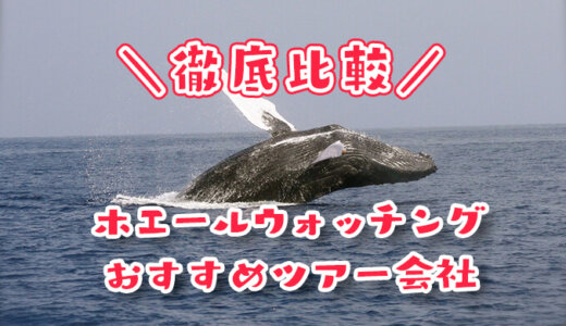 沖縄のホエールウォッチングの人気ツアー会社５選｜船酔いやサービスで最悪な口コミや評判なところは気をつけろ！