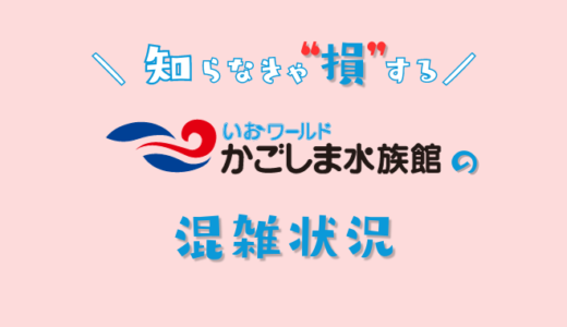 【2025年】かごしま水族館の混雑予想｜空いてる時間帯や今日の混み具合を知って混雑回避する方法