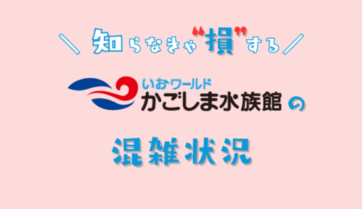 【2024年】いおワールドかごしま水族館の混雑予想｜空いてる時間帯や今日の混み具合を知って混雑回避する方法