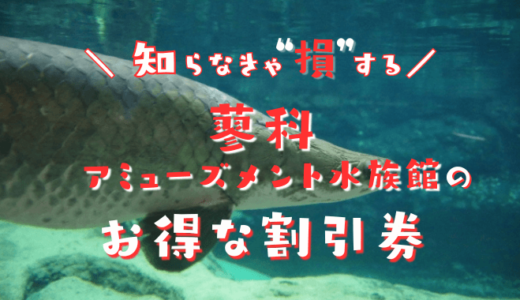 【2024年最新】蓼科アミューズメント水族館の割引券まとめ！コンビニで買うより安い入場券を置いてある場所は？