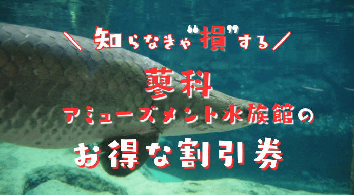 蓼科水族館の割引券