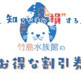 【最新】竹島水族館の入場チケット安くする方法！コンビニで買うよりお得なタケスイの前売り券が置いてある場所は？