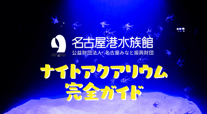 名古屋港水族館の夜の水族館