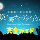 美ら海水族館の夜の水族館