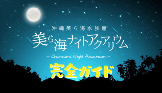美ら海水族館の夜の水族館