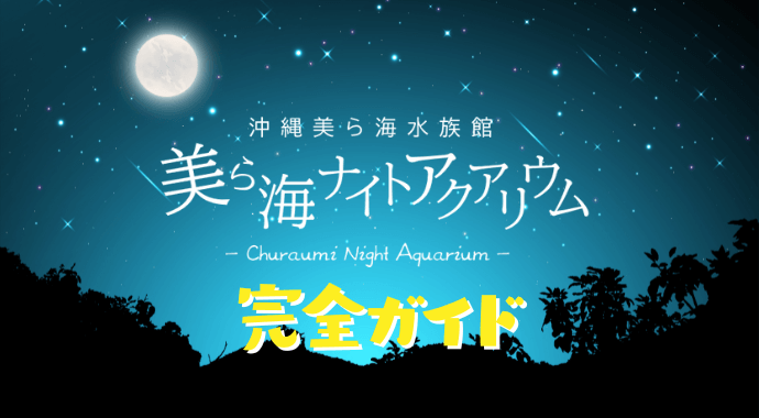 美ら海水族館の夜の水族館