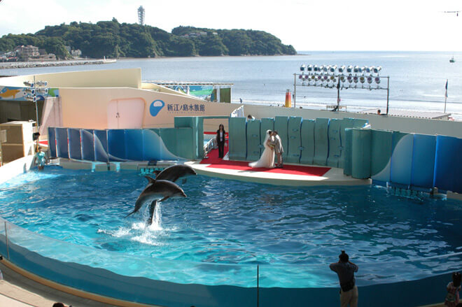 f:id:kosodateiruka:20150512194345j:plain 江ノ島水族館のショーステージで結婚式をあげる