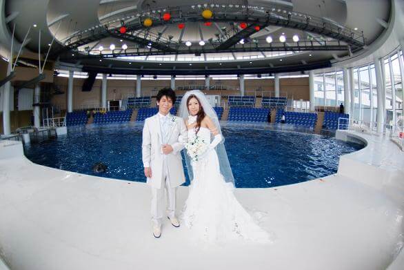 f:id:kosodateiruka:20150512194625j:plain 大洗水族館でイルカと一緒に結婚式
