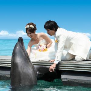 ルネッサンスリゾート沖縄でのイルカと一緒に結婚式