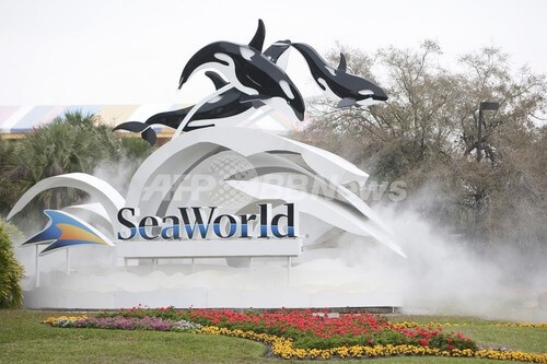 米シーワールドが シャチショー を完全中止するにあたって思うこと 子育てイルカが笛を吹く