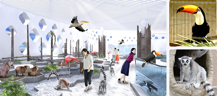 大阪吹田市にオープンした話題の新しい水族館 ニフレル はここがすごい 子育てイルカが笛を吹く