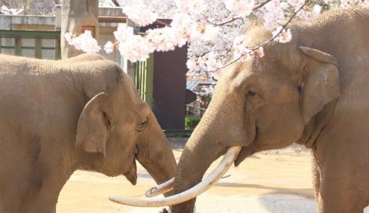 下のソーシャルリンクからフォロー