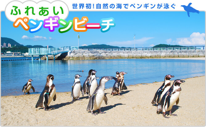 f:id:kosodateiruka:20160316160210j:plain 長崎ペンギン水族館
