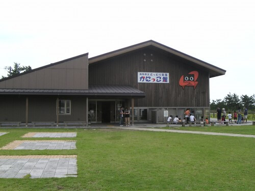 f:id:kosodateiruka:20160317062941j:plain 鳥取県とっとり賀露かにっこ館