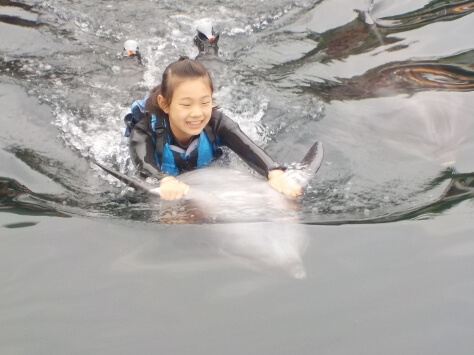 イルカと泳ぐ子供
