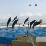 マリンワールド海ノ中道