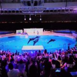 海の中道ナイトショー